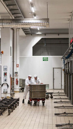 Di pabrik Hero, dua orang ini bekerja di bawah sinar pencahayaan industri makanan Philips.