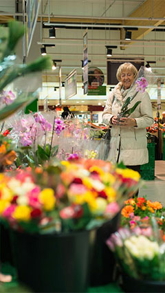 Pemilihan bunga di Real, diterangi oleh supermarket pencahayaan Philips
