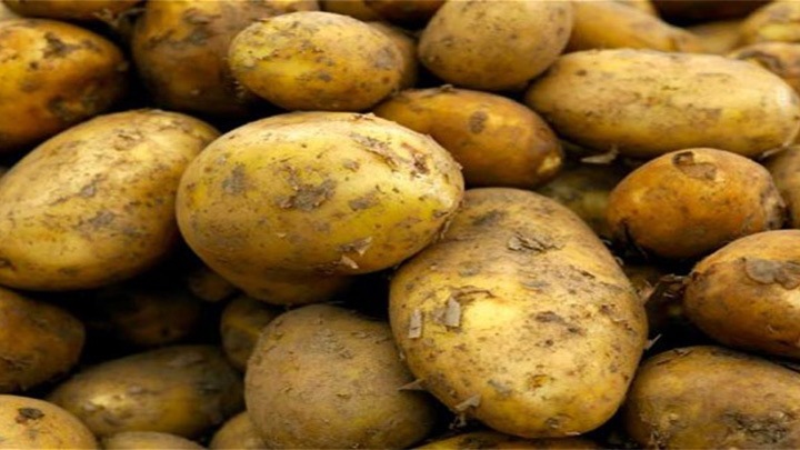 FreshFood-Philips-Supermarket-Lighting
