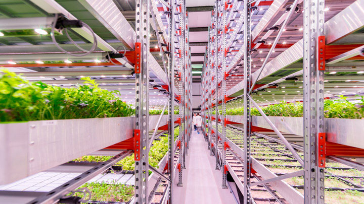 vertical city farming with indoor grow lights