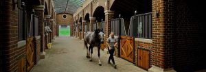 Bourne Hill Stables menciptakan lingkungan yang lebih aman dengan pencahayaan UV-C