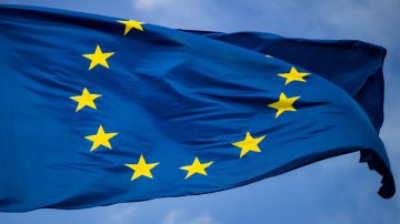 Sebuah pohon di sebelah gedung kaca